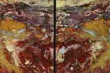Tall, Red And Yellow Jasper Bookends - Marston Ranch, Oregon #171992-1